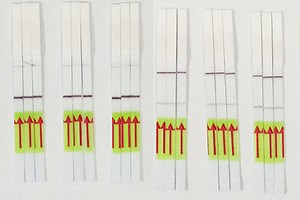 Broad Institute News