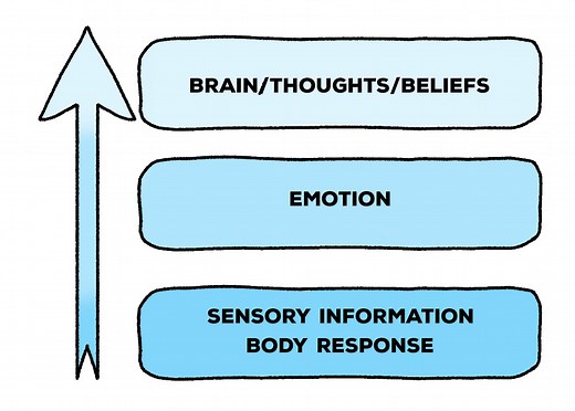Bottom Up Processing (Definition   23 Examples)