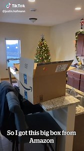 217K views · 3.6K reactions | What is it about cats and boxes?  | VT | Facebook