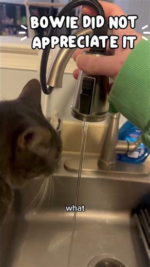 100% and I wouldn’t have it any other way!