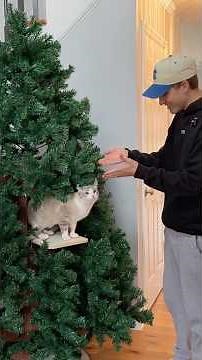 the age old problem has been solved 🤯