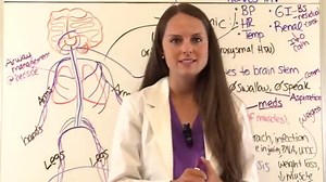 Guillain-Barré Syndrome NCLEX Review