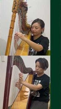 ⚔️進撃サントラmini #3⚔️『Splinter Wolf』をアルパで演奏🔥戦場の緊張感を感じながら聴いてみてください！#進撃の巨人 #SplinterWolf #アルパ