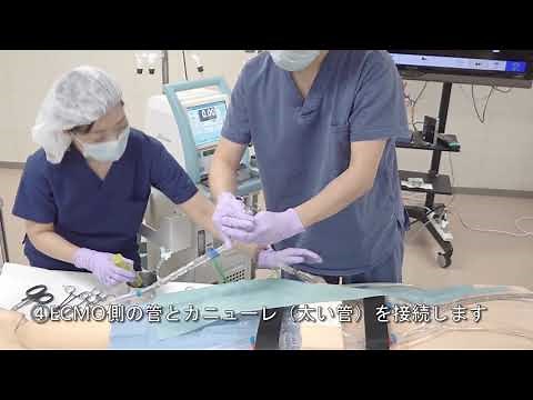 ECMOトレーニングの様子