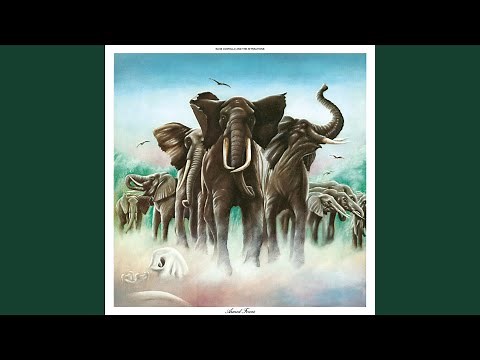 Accidents Will Happen