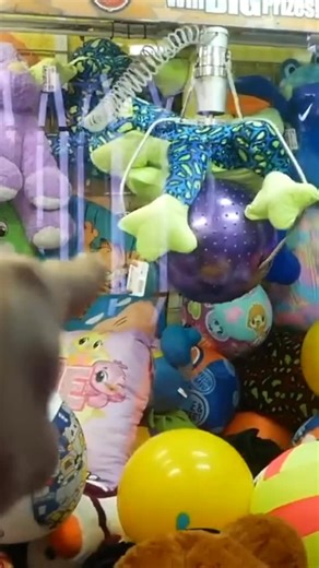 GIANT Claw Machine 😳 | Carson Claws