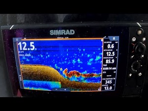 We Limit out on Shrimp Everytime Doing This!