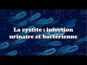 🦠 La cystite : infection urinaire et bactérienne