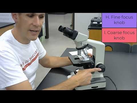 Parts of a microscope and how to use it