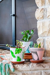 How to Make Easy DIY Painted Flower Pots (2025)