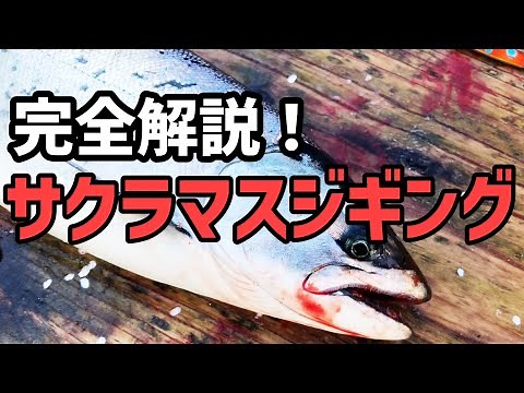 必見！９分で解説！サクラマスジギング・太平洋編 釣果UP間違いなし！ 積丹遊漁船 Atuy（アトゥイ）