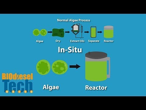 Biodiesel Production Methods