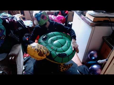 Inflatable Turtle Popping