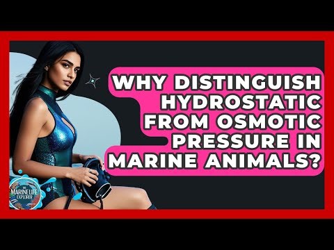 Why Distinguish Hydrostatic From Osmotic Pressure In Marine Animals? - The Marine Life Explorer