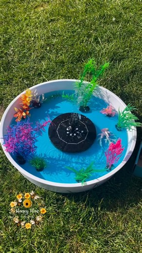 7.3K views · 21 reactions | Dive deep into the wonders of the sea with the Fish–Sensory Play Stones, a beautifully detailed collection of eight tactile fish designed to inspire imaginative, hands-on learning. These vibrant stones invite children to explore ocean life through sensory exploration, small-world play, and creative storytelling. https://www.sensoryeducation.co.uk/products/fish-sensory-play-stones | Sensory Education and Special Needs toys ideas | Facebook