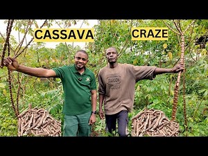 How He’s Earning Millions with Cassava Farming in Nigeria