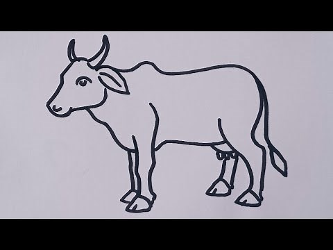 How to draw a Cow 🐄 Easy Cow drawing / animal drawing