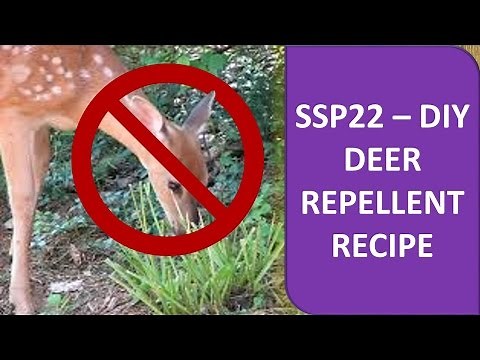 DIY Deer Repellent Recipe - SSP22